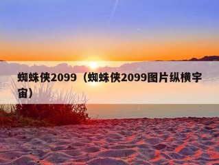 蜘蛛侠2099（蜘蛛侠2099图片纵横宇宙）