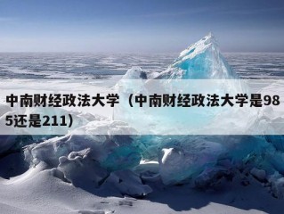 中南财经政法大学（中南财经政法大学是985还是211）