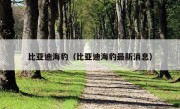 比亚迪海豹（比亚迪海豹最新消息）