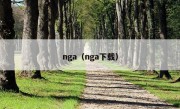 nga（nga下载）