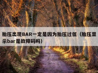 胎压出现BAR一定是因为胎压过低（胎压显示bar是故障码吗）