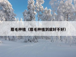 眉毛种植（眉毛种植到底好不好）