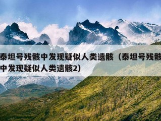 泰坦号残骸中发现疑似人类遗骸（泰坦号残骸中发现疑似人类遗骸2）