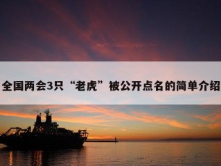 全国两会3只“老虎”被公开点名的简单介绍