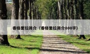 香格里拉简介（香格里拉简介800字）