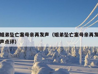 姐弟坠亡案母亲再发声（姐弟坠亡案母亲再发声点评）