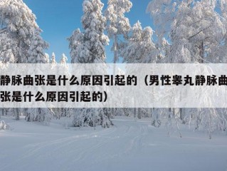 静脉曲张是什么原因引起的（男性睾丸静脉曲张是什么原因引起的）