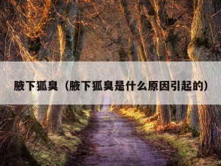 腋下狐臭（腋下狐臭是什么原因引起的）