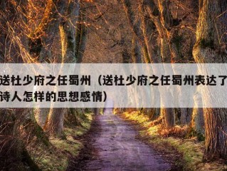 送杜少府之任蜀州（送杜少府之任蜀州表达了诗人怎样的思想感情）