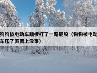 狗狗被电动车踏板打了一路屁股（狗狗被电动车压了表面上没事）