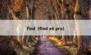 find（find x6 pro）