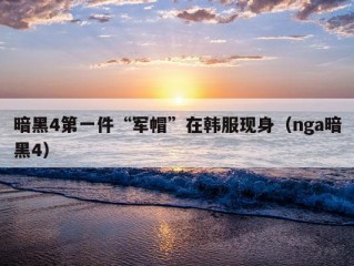 暗黑4第一件“军帽”在韩服现身（nga暗黑4）