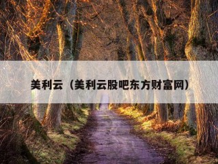 美利云（美利云股吧东方财富网）