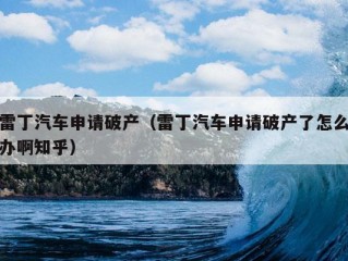 雷丁汽车申请破产（雷丁汽车申请破产了怎么办啊知乎）