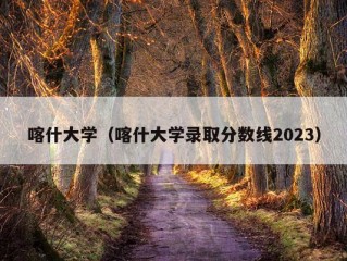 喀什大学（喀什大学录取分数线2023）