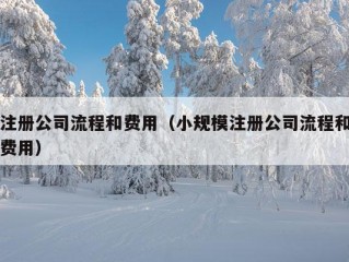 注册公司流程和费用（小规模注册公司流程和费用）