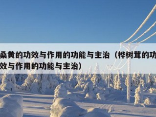 桑黄的功效与作用的功能与主治（桦树茸的功效与作用的功能与主治）