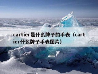 cartier是什么牌子的手表（cartier什么牌子手表图片）