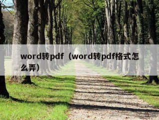 word转pdf（word转pdf格式怎么弄）