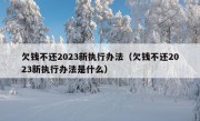 欠钱不还2023新执行办法（欠钱不还2023新执行办法是什么）