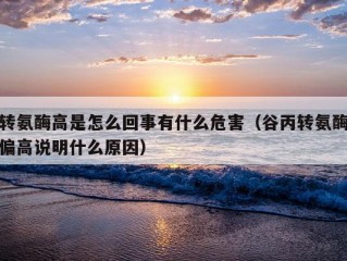 转氨酶高是怎么回事有什么危害（谷丙转氨酶偏高说明什么原因）