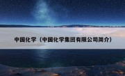 中国化学（中国化学集团有限公司简介）