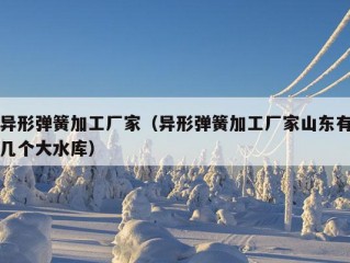 异形弹簧加工厂家（异形弹簧加工厂家山东有几个大水库）