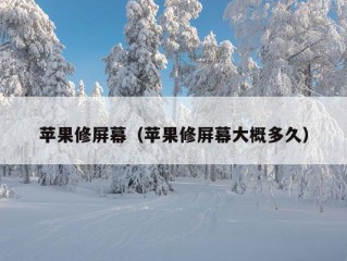 苹果修屏幕（苹果修屏幕大概多久）