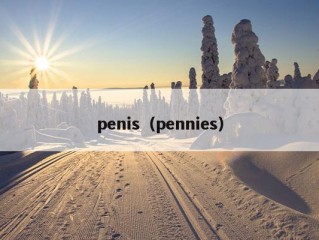 penis（pennies）