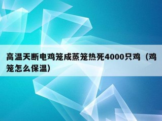 高温天断电鸡笼成蒸笼热死4000只鸡（鸡笼怎么保温）