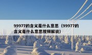 99977的含义是什么意思（99977的含义是什么意思视频解说）