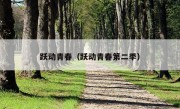 跃动青春（跃动青春第二季）