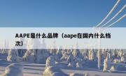 AAPE是什么品牌（aape在国内什么档次）