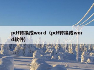 pdf转换成word（pdf转换成word软件）