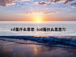 cd是什么意思（cd是什么意思?）