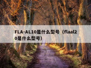 FLA-AL10是什么型号（flaal20是什么型号）