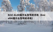 KOZ-AL00是什么型号的手机（kozal00是什么型号的手机）