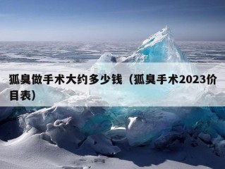 狐臭做手术大约多少钱（狐臭手术2023价目表）