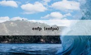 enfp（enfpa）