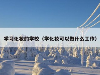 学习化妆的学校（学化妆可以做什么工作）