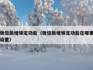 微信新增锁定功能（微信新增锁定功能在哪里设置）