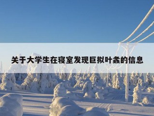 关于大学生在寝室发现巨拟叶螽的信息