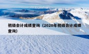 初级会计成绩查询（2020年初级会计成绩查询）