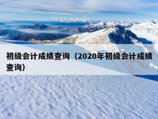 初级会计成绩查询（2020年初级会计成绩查询）