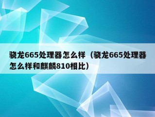 骁龙665处理器怎么样（骁龙665处理器怎么样和麒麟810相比）