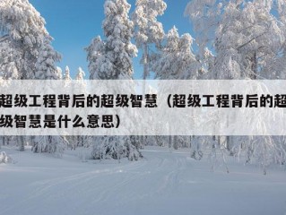 超级工程背后的超级智慧（超级工程背后的超级智慧是什么意思）