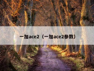 一加ace2（一加ace2参数）