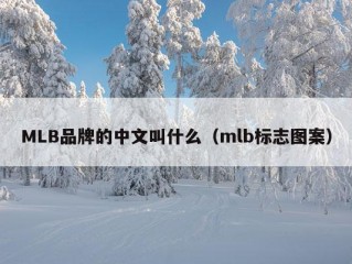 MLB品牌的中文叫什么（mlb标志图案）