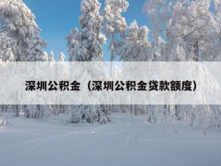 深圳公积金（深圳公积金贷款额度）