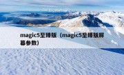 magic5至臻版（magic5至臻版屏幕参数）